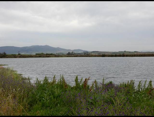 FARM FOR SALE IN WELLINGTON